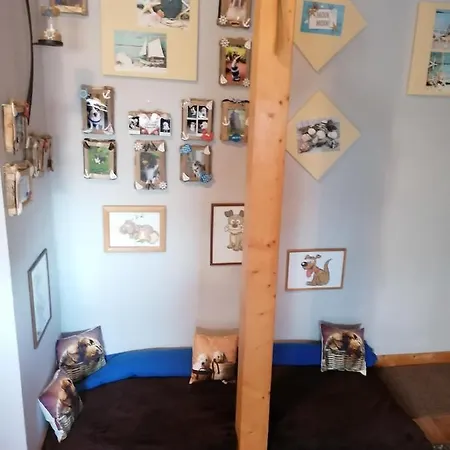 Ferienwohnung Sonnenblume شقة